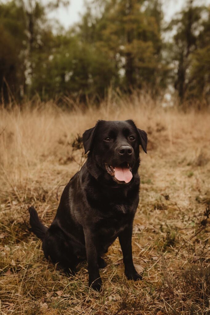 Labjesvandenwaterpot_I