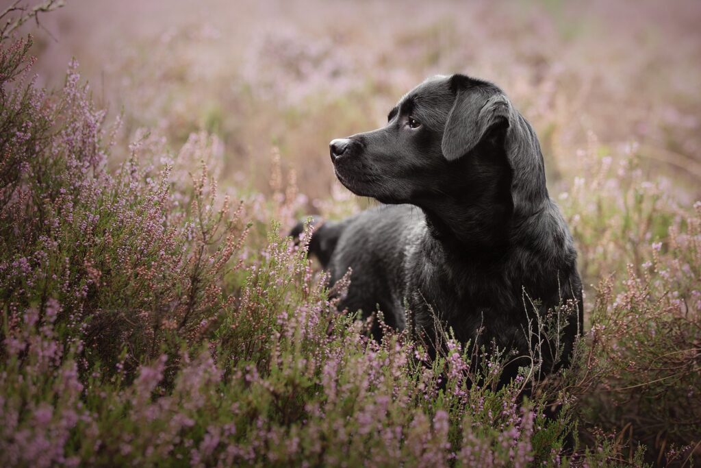 Fotoshoots Hunter&Co Dag 1-001_WEB