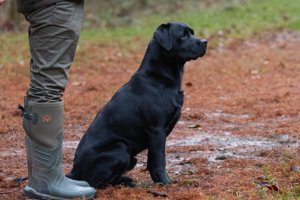 24169830-9c635bb645b539105044