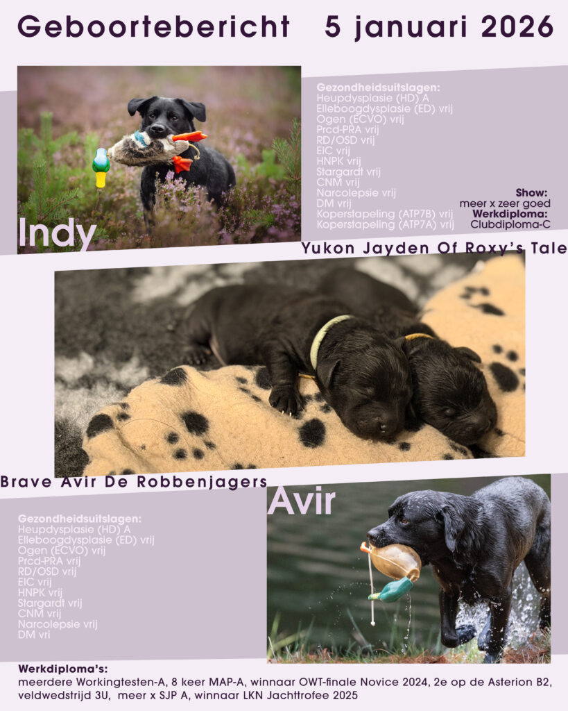 Geboortebericht_Indy_Avir2026