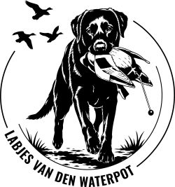 labjesvandenwaterpot.nl
